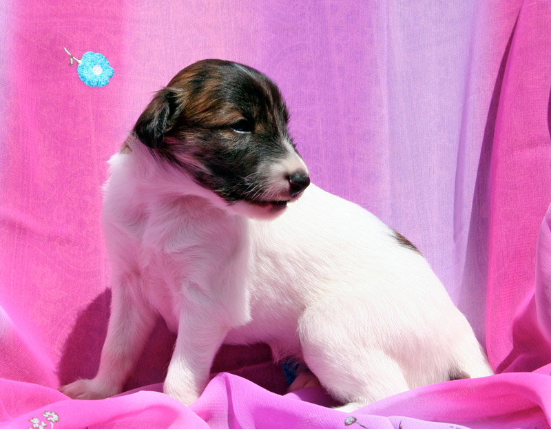 Surf Spots - Girl 1 Sit Head Turn